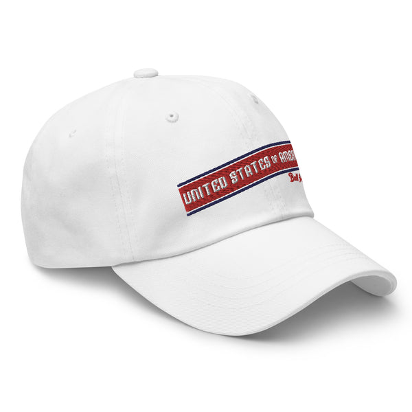 OL SKOOL USA DAD CAP