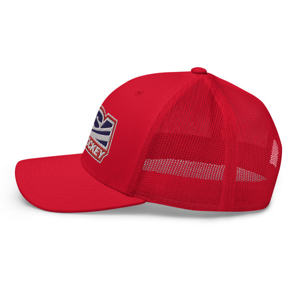 USA BALL HOCKEY LOGO TRUCKER